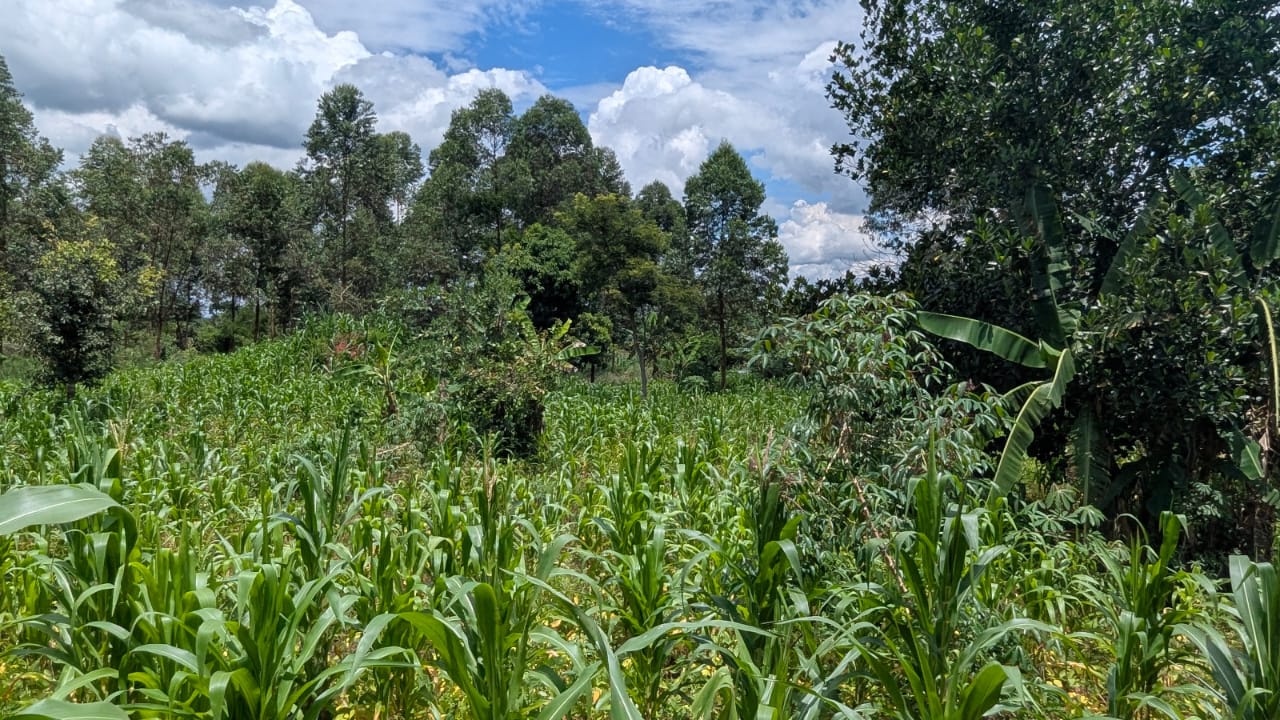 10 Acres Kabembe Mukono